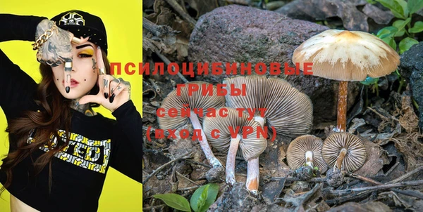 крисы Балахна