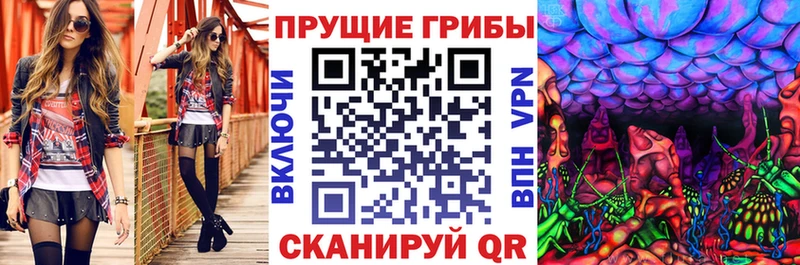 Псилоцибиновые грибы Magic Shrooms Цимлянск